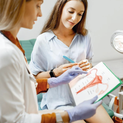 Imagen de GINECOLOGIA